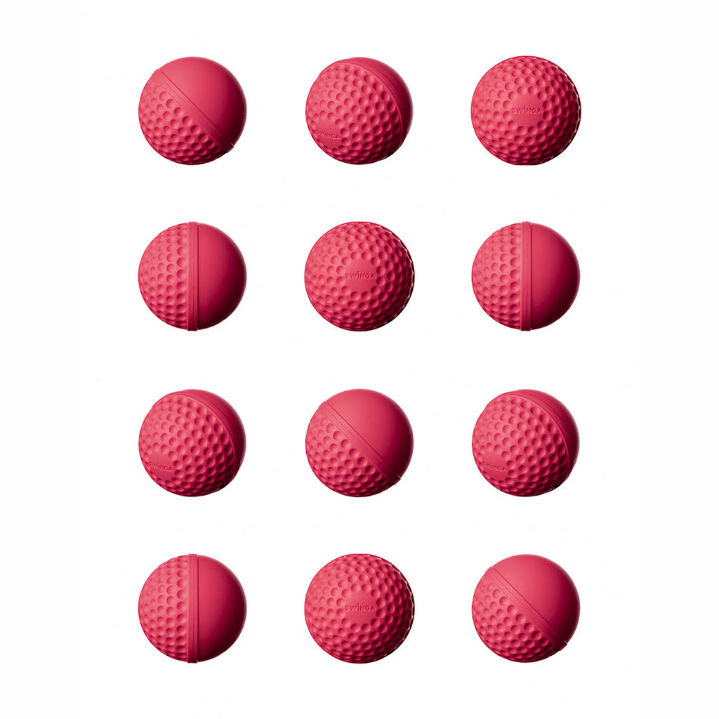 SWINGA 12 Pack + BallSak — twelve Technique Balls