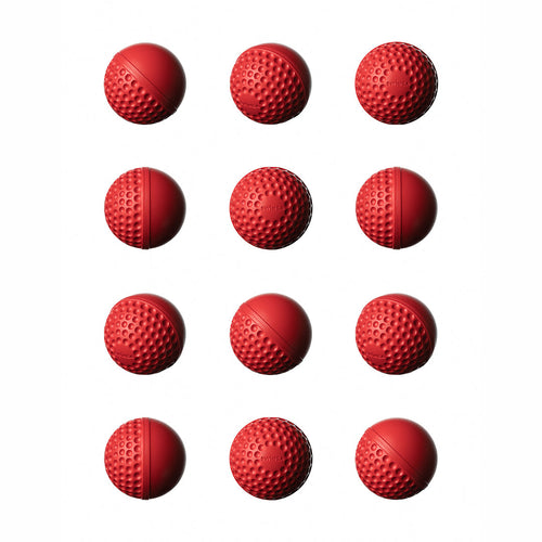 SWINGA 12 Pack + BallSak — twelve Technique Balls