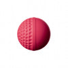 SWINGA Backyard cricket training ball in pink